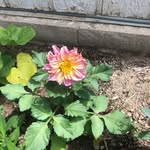 Aaron Trail - @trail.aaron - Instagram