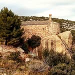 Aaron - @trail_aaron - Instagram