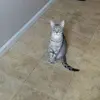 Aaron Trainer - @aaron.trainer4 - TikTok
