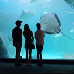 Aaron Trask - @trask.aaron - Instagram