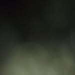 Aaron Straub - @aaron.straub.1238 - Instagram