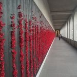 Aaron Traynor - @aaront_74 - Instagram