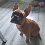Aaron Traynor - @aarontraynor58 - Instagram