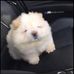 Aaron Treng - Facebook