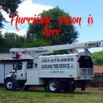 Aaron & Mia We Cut Trees - @acadiana_tree_service_l.l.c - Instagram
