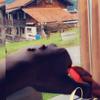 Aron._.trepp - @aron._.trepp - TikTok
