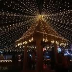 Tripti Aaryan - Facebook