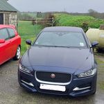 Aaron Trewin - @trewinaaron - Instagram