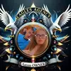 Aaron Troy - @aaron.troy77 - TikTok