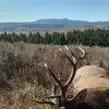 Aaron Troyer - @aaron.troyer - TikTok