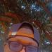 Aaron Trust - Facebook