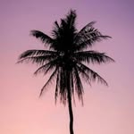 AARON TYE - @aarontye9952 - Instagram