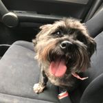 Aaron Vail - @availhimself - Instagram