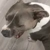 Aaron Vallejo - @aaron.vallejo - TikTok