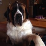 Aaron Valley - @goosegoosezeus - Instagram
