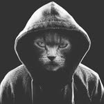 Aaron Patrick Vancil - @aaronpatrickvancil - Instagram