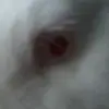nee - @aaronvangelderen8 - TikTok