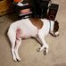 Aaron Vanhorn - Facebook