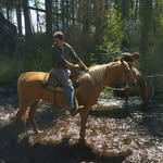 Aaron Van loon - @loonaaronvan - Instagram
