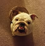 Aaron Vannatta - Facebook
