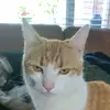aaronvanosch - @aaronvanosch - TikTok