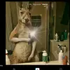 Aaron Vargas - @aaron.vargas655 - TikTok