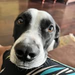 Aaron Varghese - @aaronkuruvilla - Instagram