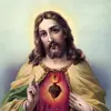 aaronvarghese427 - @aaronvarghese427 - TikTok