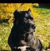 Aaron Varnum - Facebook