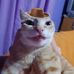 Aaron Vasconcelos - Facebook