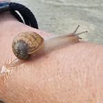 @aaron.vasilyev - Instagram