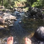 Aaron Vass - @health_is_your_wealth_ - Instagram