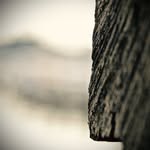 aaron vassallo - @themaltesephotographer - Instagram