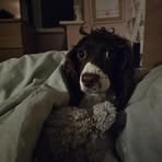 Aaron Venables - Facebook