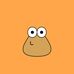 Aaron Vis - Facebook