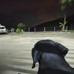 Aaron Visitacion - @aaron.visitacion - Instagram