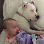 Aaron Vogel - @vogel8027 - Instagram