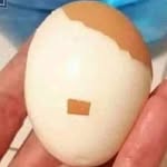 Aaron Voigt - @aarons_food_review - Instagram
