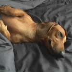 Aaron Voigt - @aaron.voigt.12 - Instagram