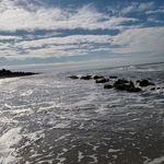 Aaron Wagler - @aaronwagler6 - Instagram
