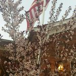 Aaron Wagley - @wagleyaaron - Instagram