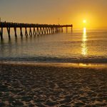 aaronwagler - @aaronwagle5 - Instagram