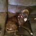Aaron Waggenspack - Facebook