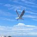 Aaron Wainwright - Facebook