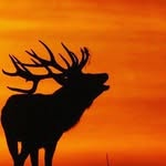 Aaron Wales - @awales14 - Instagram