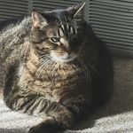 Aaron Wallander - @aaronwallander - Instagram