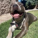 Aarón - @wallandervivo - Instagram