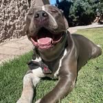 Aarón - @wallandervivo - Instagram
