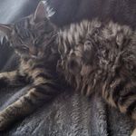 Aaron Wallin - @wallin.aaron - Instagram