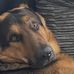 Aaron Walling - Facebook